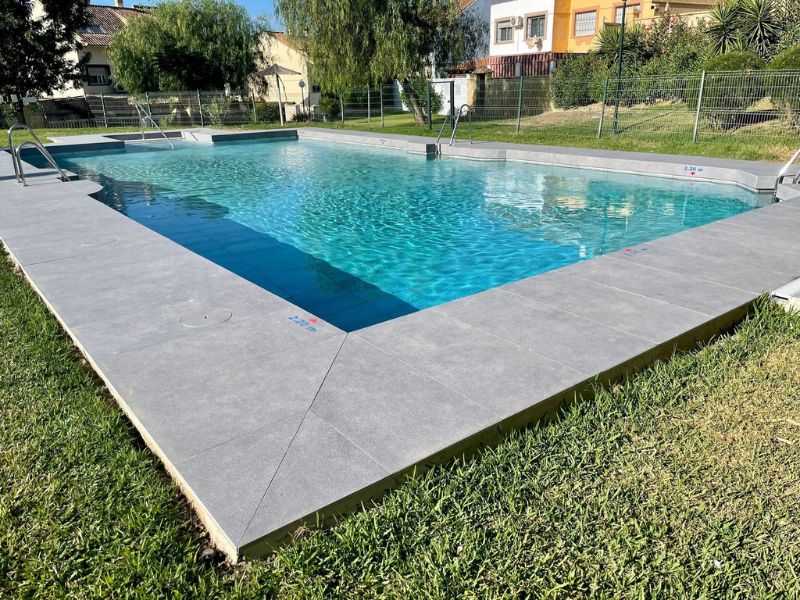 Rectangular pool with gray paver coping in a classic suburban backyard